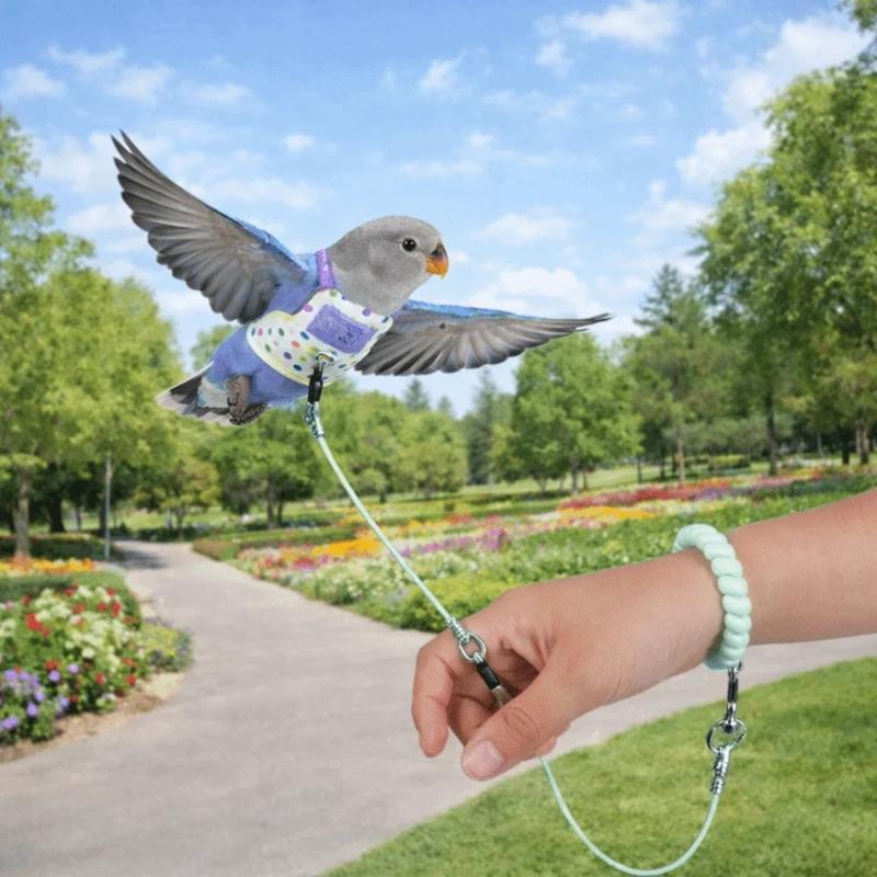 Papageien-Geschirr und Leinen-Set Leichtes Weiches Geschirr Robust Ausbruchsicher für Kleine Papageien Park Spaziergänge Camping