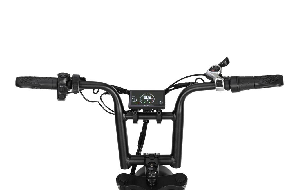 BAOLUJIE DP2033 All-Terrain Erwachsenen Elektrofahrrad 20*4.0 Zoll Fat Tires 1000W Dualmotor 48V 12Ah Dualbatterie E-Mountainbike Mit Scheibenbremse