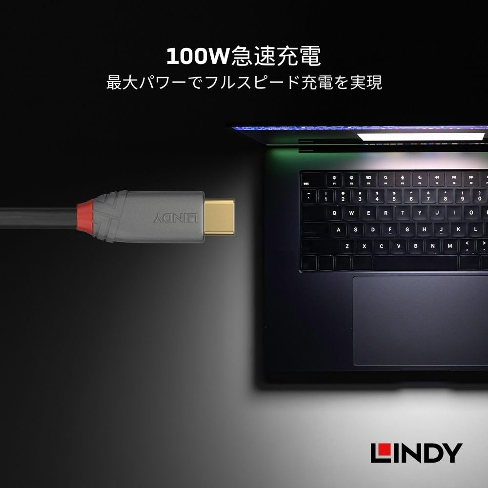 LINDY 1m ANTHRA LINE USB Gen 2x2-kabel med PD Smart Chip 3.2 Type-C (Modellnummer 36901)