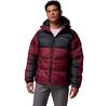 Pike Lake II Hooded Jacket