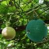 Sticky Fruit Fly Trapping Ball Sticky Fly Catching Ball Sticky Glue Fly Gnat Mosquito Flying Insect Trapping Ball Trap