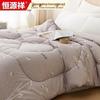 Hengyuanxiang Class A All-Cotton Antibacterial Four-Season Quilt