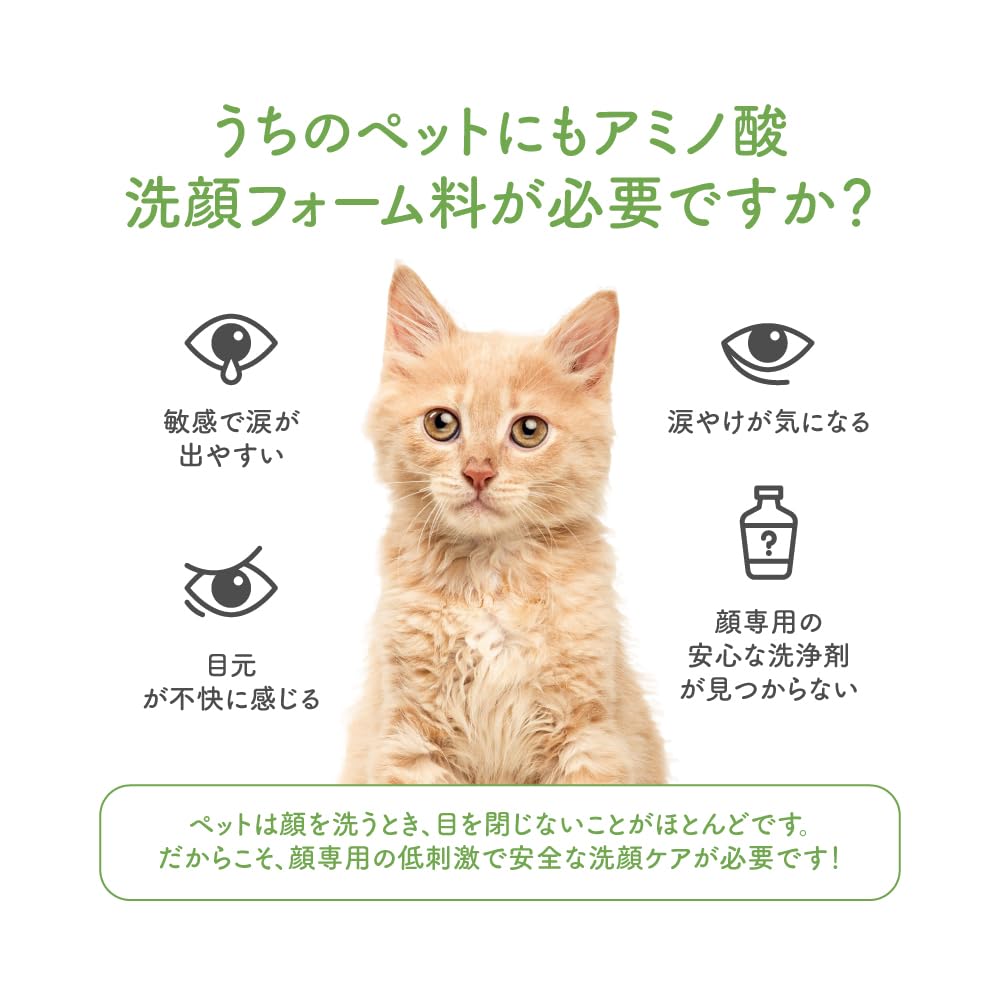 PROUDPET Amino Acid Facial Cleanser for Dogs and Cats Neutral for Tear Sensitive and Odor 100ml [Veterinarian-Supervised] pH, Hypoallergenic, Stain,