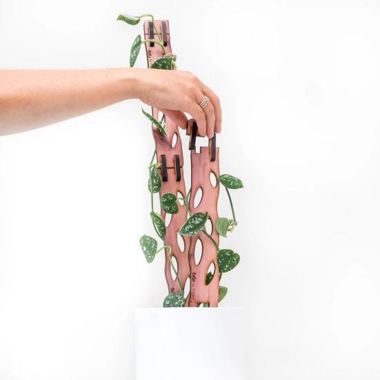 

Деревянный набор шпалер для растений, выдвижная опора для растений, шпалера, альтернатива моховому столбу, вставка для кашпо, шпалера для комнатных растений, вьющихся 1 Set