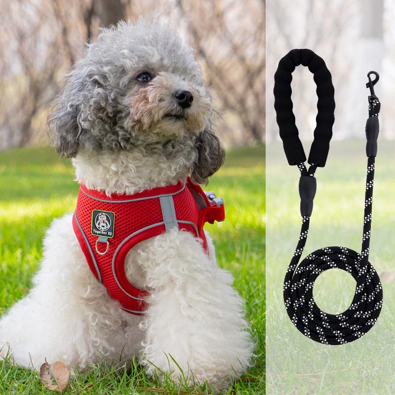 Vest-Style Harness and Leash Set for Small Dogs: Bichon, Teddy, Pomeranian