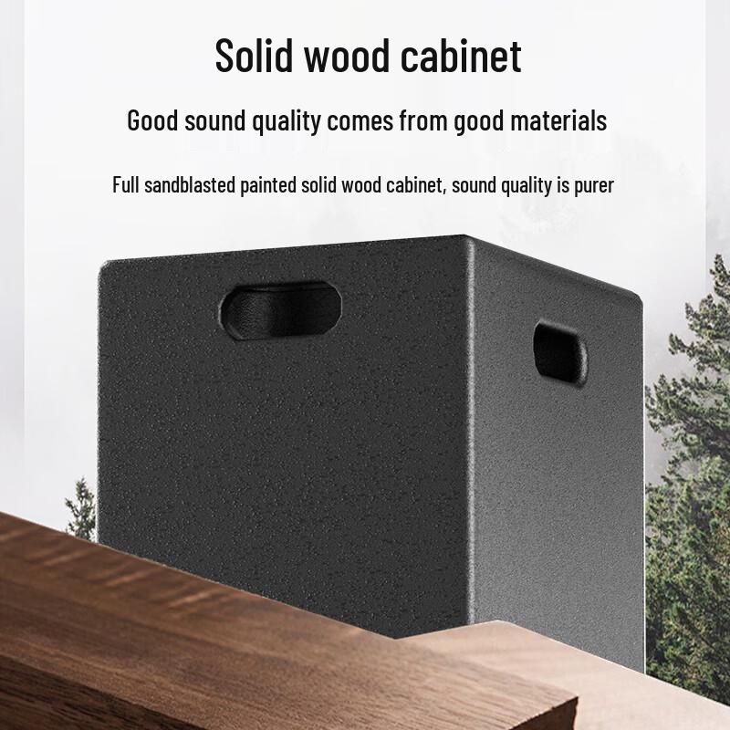 HuiDu DM-88 Portable Dual 8-inch PA Speaker