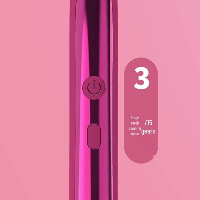 Citizen EHS529 Sonic Electric Toothbrush