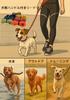 JoyFusion Dog PVC For Stain 1cm Freely For For Large and Small Easy To For Outdoor Yellow Lead, Material, Waterproof, Training, Resistant, Thick,