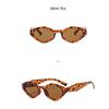 Damen-Sonnenbrille, modische polygonale Herren- und Damen-Sonnenbrille