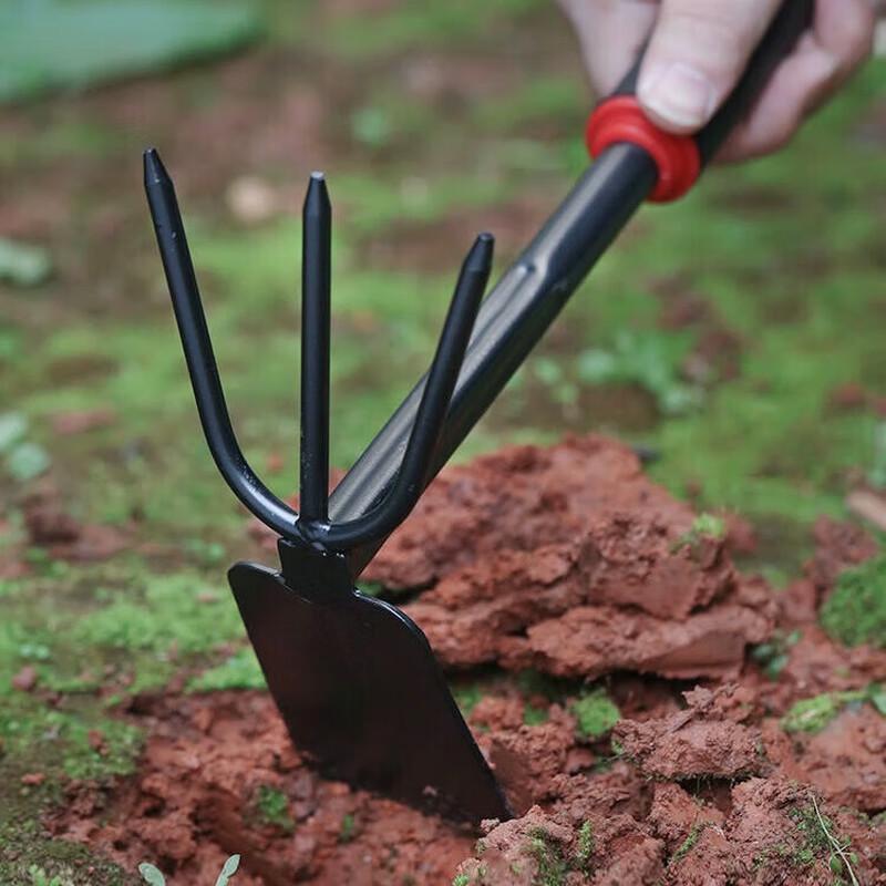 Shangxiong Beach Foraging & Gardening Tools