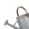 Indoor Plant Watering Can with Large Opening and Detachable Spout, Design