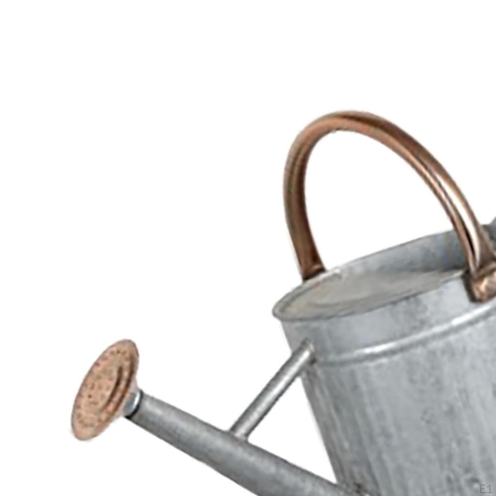 Indoor Plant Watering Can with Large Opening and Detachable Spout, Design