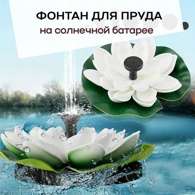 Solaire Flottant Aménagement Paysager Extérieur Pièce d'Eau Jardin