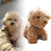 Mignon Porte-clés Peluche Chien Teddy Pour Sacs Et Clés Animal en Peluche Doux