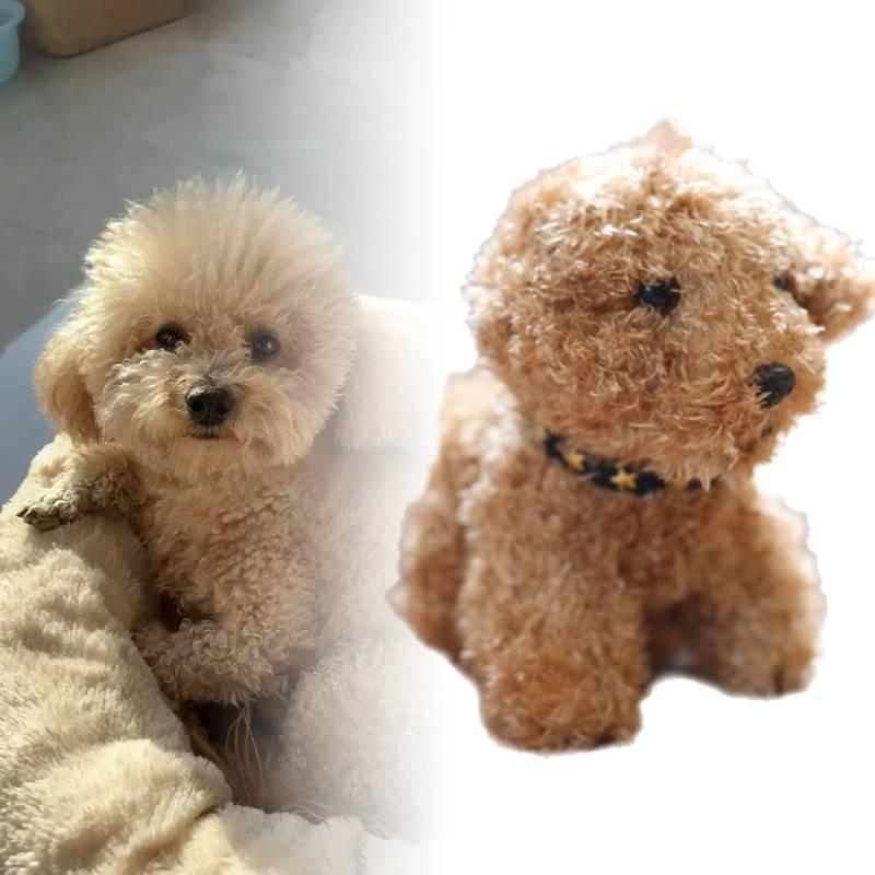Mignon Porte-clés Peluche Chien Teddy Pour Sacs Et Clés Animal en Peluche Doux