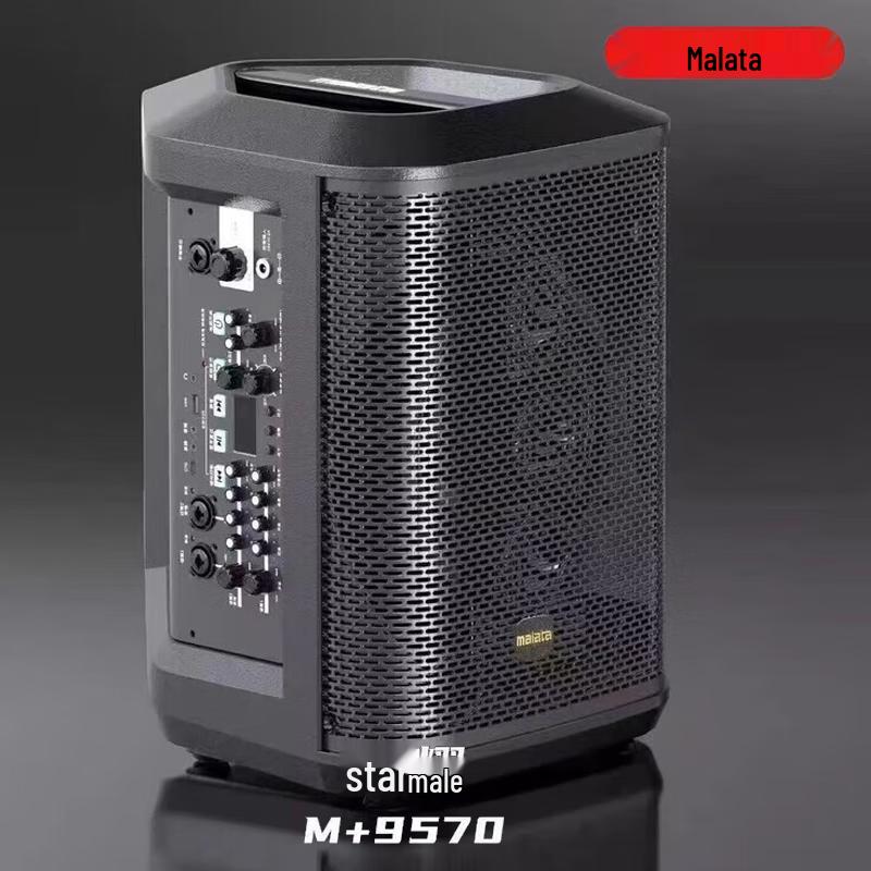 

Malata M+9570 Professional Portable Instrument Speaker