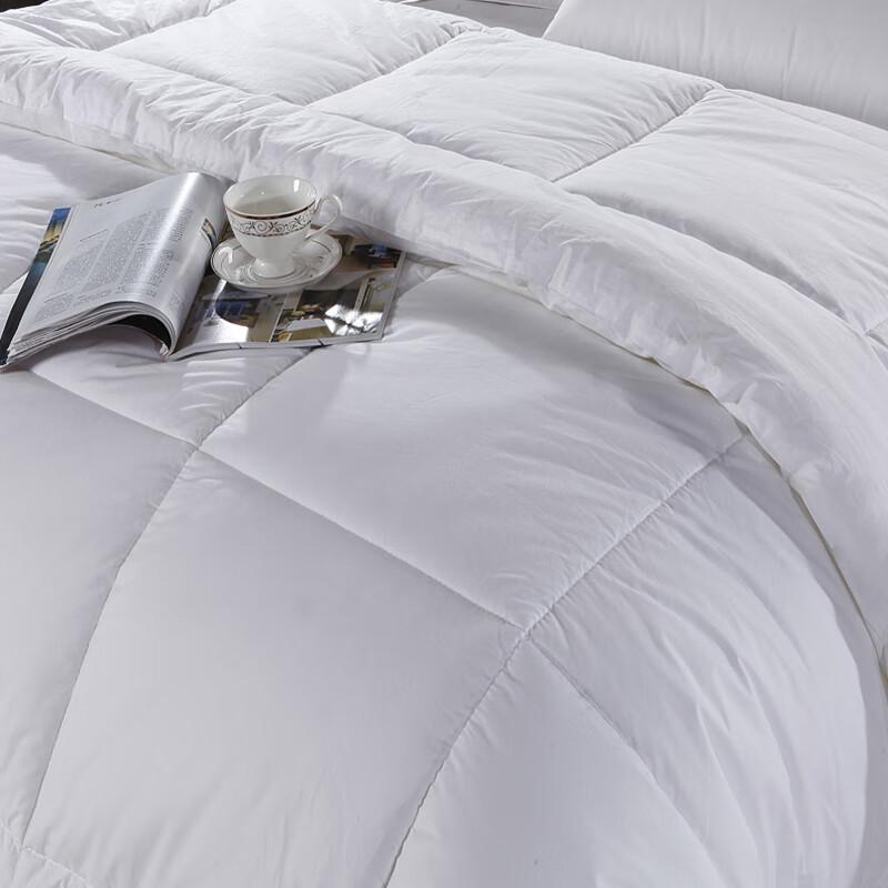 SUISLEEP Brushed Microfiber Winter Fiber Quilt
