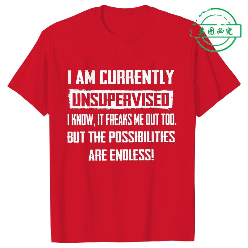 I Am Currently Unsupervised Mens Tshirt Hilarious Funny Saying Gift for Him Birthday Mens Funny Tee Shirt Graphic Y2k Tops S