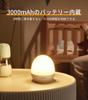 Lyridz Bedside Lamp, Nursing Light, Touch Sensor Night Light, ColorBrightness Adjustable, Ambient Lighting, USB Charging, 3000mAh Large Capacity,