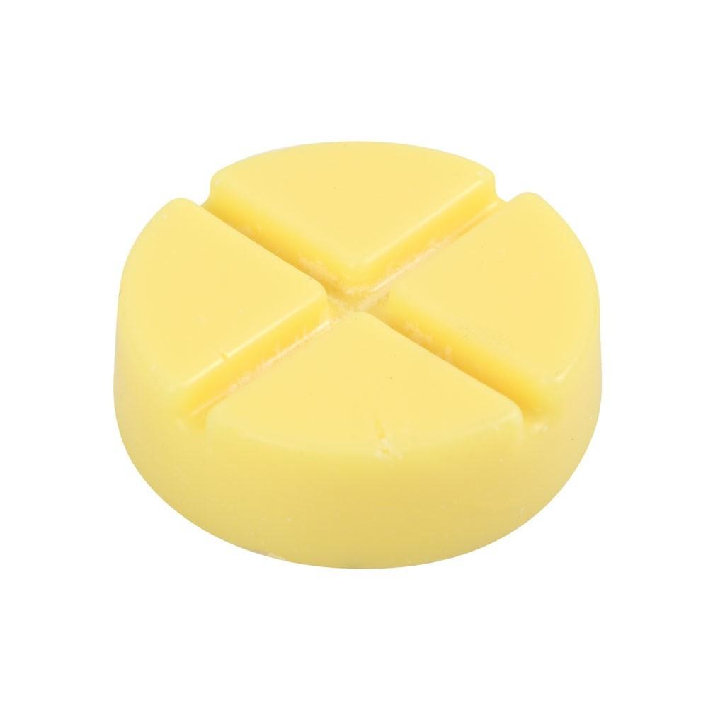 Something Different Spell Bound Disc Wax Melts