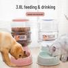 3.8L Automatic Pet Water Dispenser & Feeder for Cats and Dogs