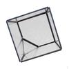 Glaswürfel Terrarium Luftpflanzen Behälter Box