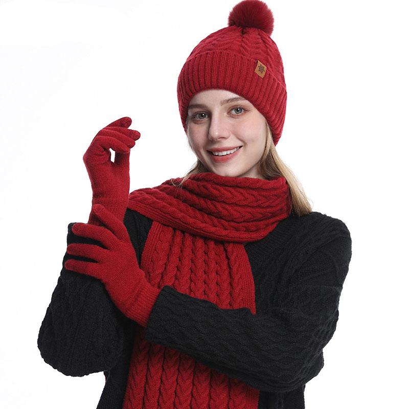 3Pcs Winter Warm Set Knit Hat Scarf Gloves Ear Protection Alpaca Wool Blend Women Cold Weather Riding Gear Multi Color