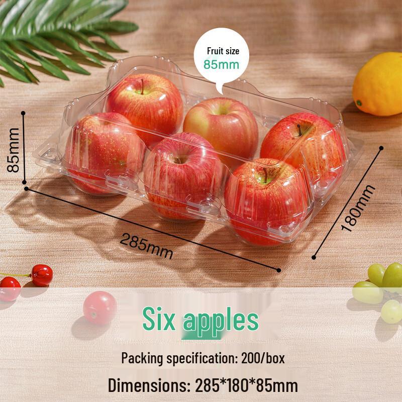 Clear Rectangular Disposable Food Containers with Lids