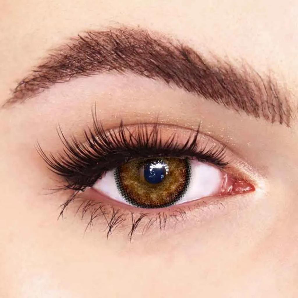 Moody Velvet Brown