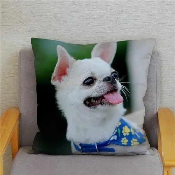 Cute Mini Chihuahua Dog Printed Cushion Cover Pillow Case Hugging Pillow Case Sofa Home Decor Pillow Case