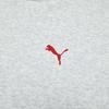 Puma FW25 Warm Fleece Pullover Hoodie Unisex Sweatshirt 695005-04
