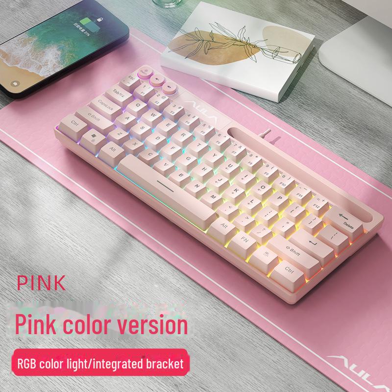 AULA Wolf Spider F3061 Mini 61-Tasten RGB Kabelgebundene Tastatur