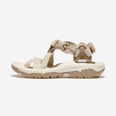 Hurricane Terra Dactyl [1169431] [Shipped from Korea] 100% Authentic