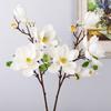 Grande Fiore di Magnolia Artificiale Fatto a Mano Simulazione Real Touch Grande Magnolia EVA Orchidea Artificiale Realistica Decorazione da Tavolo