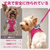 Rabbitgoo Dog Harness and Leash Set for Extra and Large Soft Velcro and Reflective Gentle on the Nighttime Easy to Put on and Take Hand Safe for and