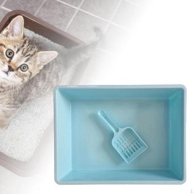Gatos – Cuidados e higiene