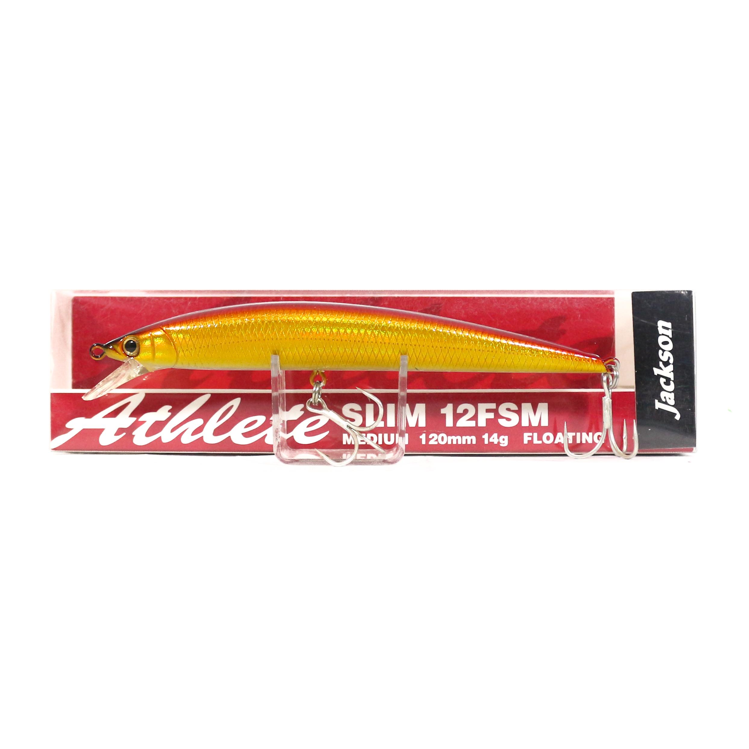 

Тонкая плавающая приманка Jackson Athlete 12 FSM LGR (0839)