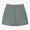 The North Face White Label Ventrun Shorts Gray