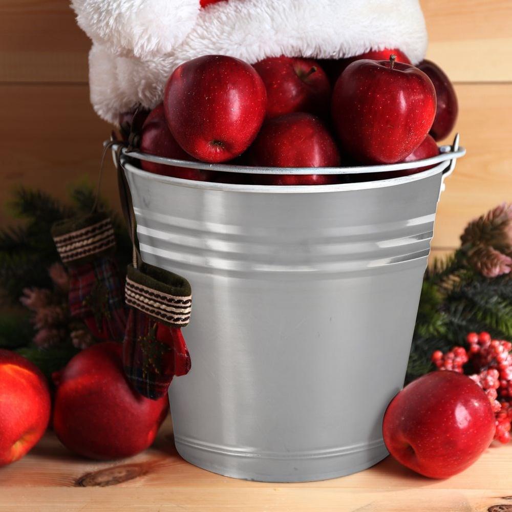 Orion Stainless Steel Bucket with Handle, 12 L, 31 x 27 cm
