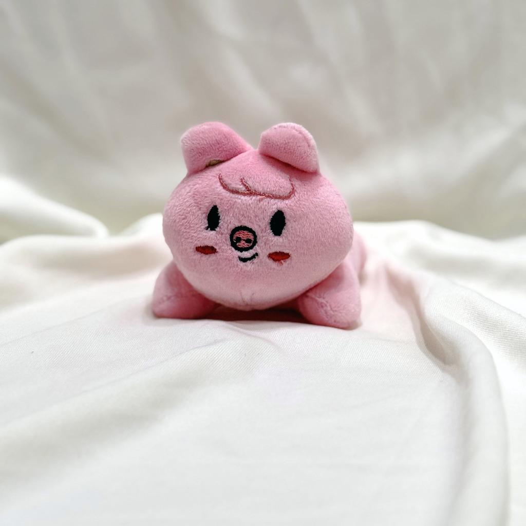 Skzoo New Plush Cartoon Doll Party Pose Doll Party Pendant Fang Can Felix Wearing Hat Cute Keychain Surrounding