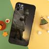 Lamassu Assyrian Mesopotamian Phone Case For iPhone 17 17Air 16 15 14 13 11 12 Pro Max 12 13 Mini 16E Shockproof Cover
