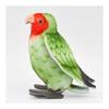 BH7254 HANSA Lovebird 13