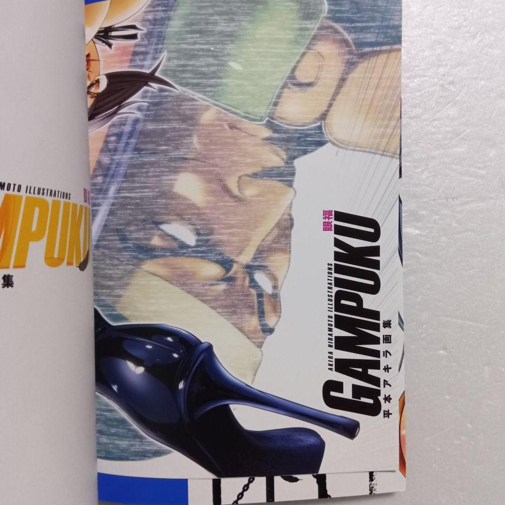 [USED] Akira Hiramoto Art Collection GAMPUKU Eye-pleasing