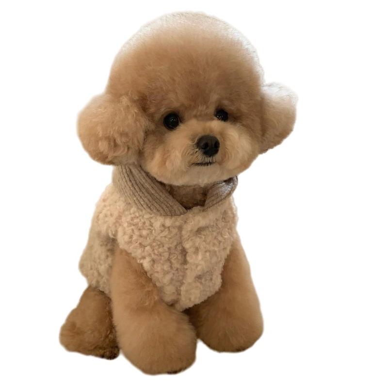 Fashion Pet Two-Legged Coat with Hat Warm Cotton Vest for Small Medium Dogs Winter Chihuahua Costume Puppy Clothing