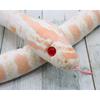 Takeoff Corn Snake Albino Plush Toy