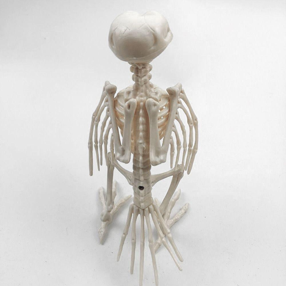 Halloween Prop Plastic Halloween Decoration Skeleton Raven Animal Skeleton Bones Crow Skeleton