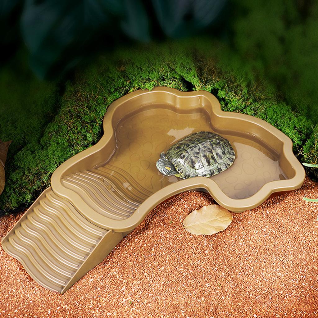 Reptilien-Wasserbecken Einsiedlerkrebs-Badebecken mit Leiter Amphibien-Badebecken Schildkröten-Badeplattform Duschbecken für Schildkröten