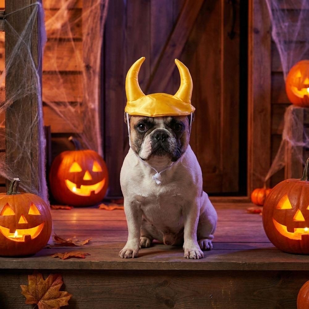 Decorative Pet Ox Horn Hat Adjustable Dog Dress Up Cap Bull Horn Shaped Dog Hat Cosplay Party