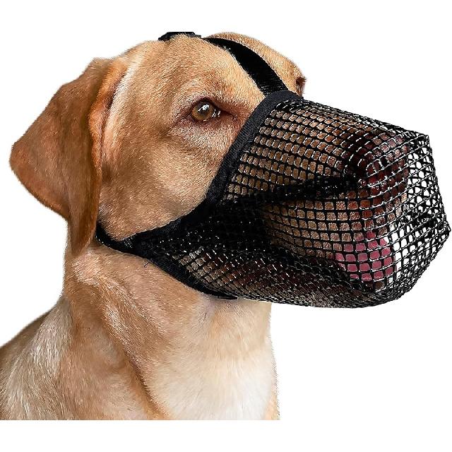 

Mayerzon Dog Muzzle, Patented Mesh Muzzles for Small Medium Large Dogs, Soft Covered Mouth Guard with Adjustable Straps, Prevent Biting Chewing and XS: Snout:6 -7¼ чёрный