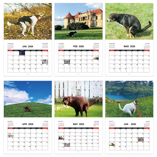2026 Wall Calendar Dog Pooping/Angry Cat Calendar January 2026 - December 2026